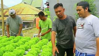 BIKIN KEBUN HIDROPONIK DARI HASIL MENGAMEN | #AKUINTERVIEW 7