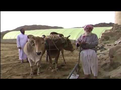 راح زمن الطيبين الحرث القديم