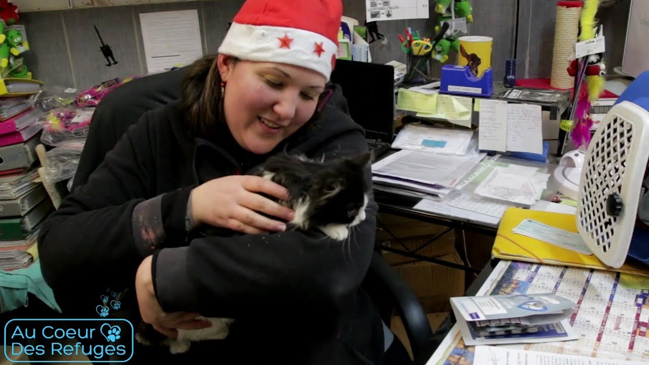 AU COEUR DES REFUGES [S02/E14] - Le Noël des animaux