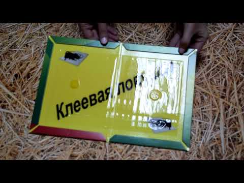 Клеевая ловушка для мышей Клеевая ловушка для мышей