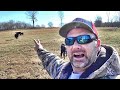 The Cattle Call...herding up our new cattle on the farm!