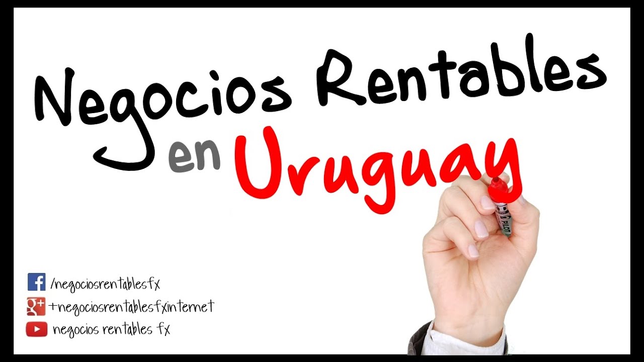 Ideas De Negocios Rentables En Uruguay