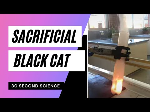 Thumbnail for Sacrificial black cat (potassium chlorate)