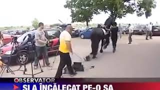 Nutu Camataru Calare Pe Un Cal, Dupa Ce Iese Din Parnae