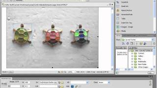 Dreamweaver CS5 Tutorial Creating Image Maps Adobe Training Lesson 5.3