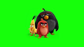 Angry Bird green screen effect HD video