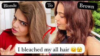 Permanent Brown Hair at Home | Blonde to Brown | Beauty’s crown