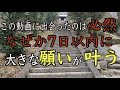 【妙義神社参拝】この動画を偶然見たとき7日以内に人生がガラッと変わる※金運、出世運、開運、運気上昇（Myogi Shrine Gunma Japan)#100