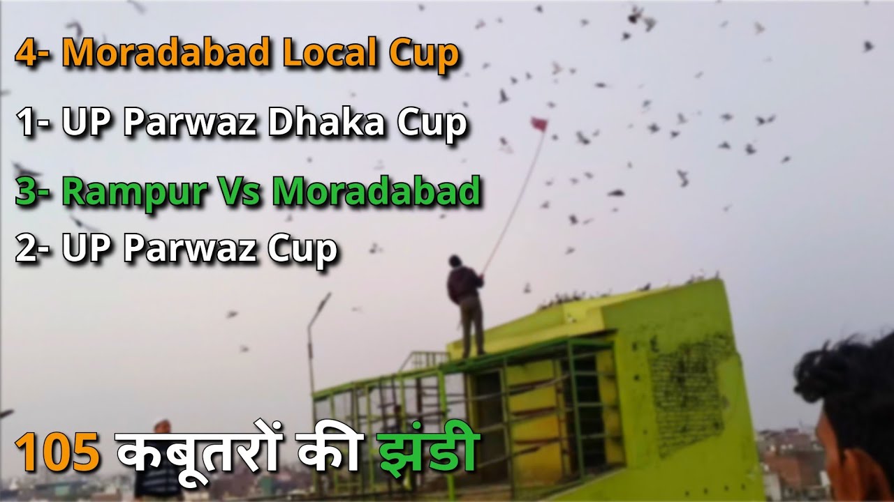 105 Kabootron ki Jhandi - Bablu Ustad Moradabad | The Home Sanctuary 