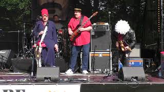 Tante Tofu featuring Pamela Des Barres Zappanale 2026-07-18 SBD Slideshow Intro Altered