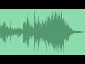 Elegant Logo Transition Royalty Free Music