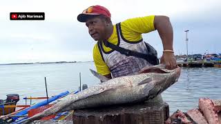 Atraksi Potong Ikan Mubara Raksasa Pesanan Penjual Ikan Keliling
