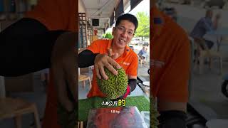 松鼠王 D214 Durian Tupai King | Durian Malaysia #durian