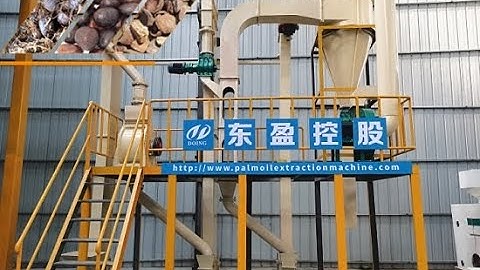 Palm kernel and nuts shell separator