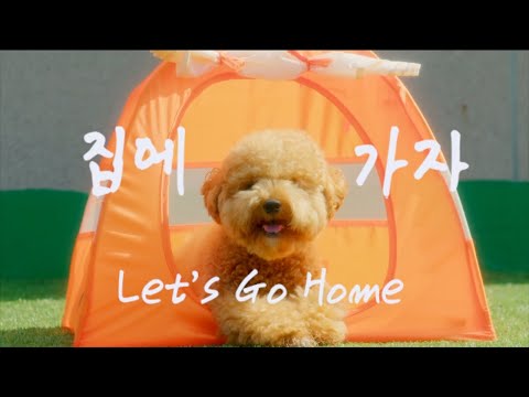 [Official MV] 스텔라장(Stella Jang) - 집에 가자(Let's Go Home)(ENG sub)