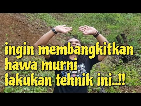 Video: Cara Melakukan Muslihat Dalam Murni