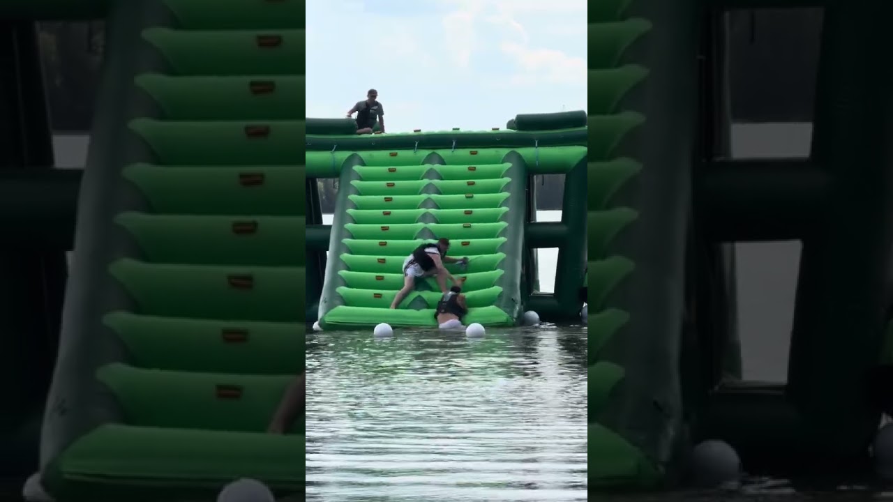 BIG CAT FOR THE WIN @MountainDew  #mountaindew_partner