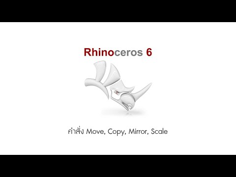 Rhino Ep16 คำสั่ง Move, Copy, Mirror, Scale