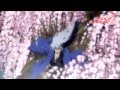 Akai's First Amv - Blue Field (Ost Ars Nova Ending)