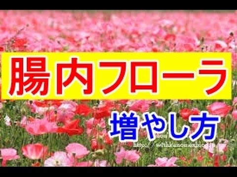 腸内フローラの増やし方！ＮＨＫスペシャルでも放映！ダイエットや美容、うつ病などにも効果が？！【主婦の知恵袋】