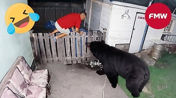 Try Not To Laugh 🤣 Top 100 Funniest Videos Ever 😂 | Funny Videos Compilation 2025 #14