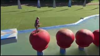 Wipeout Winners And Losers  Thursday August 16th At 87c On Abc