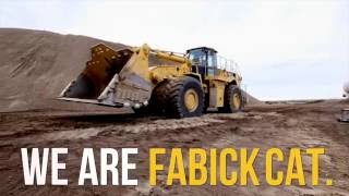We Are Fabick Cat