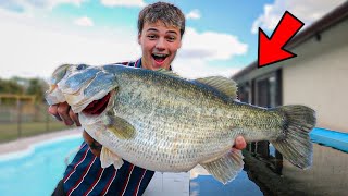 My *NEW* 12lb+ LARGEMOUTH BASS for 4000G POND!! (Thump 3.0)