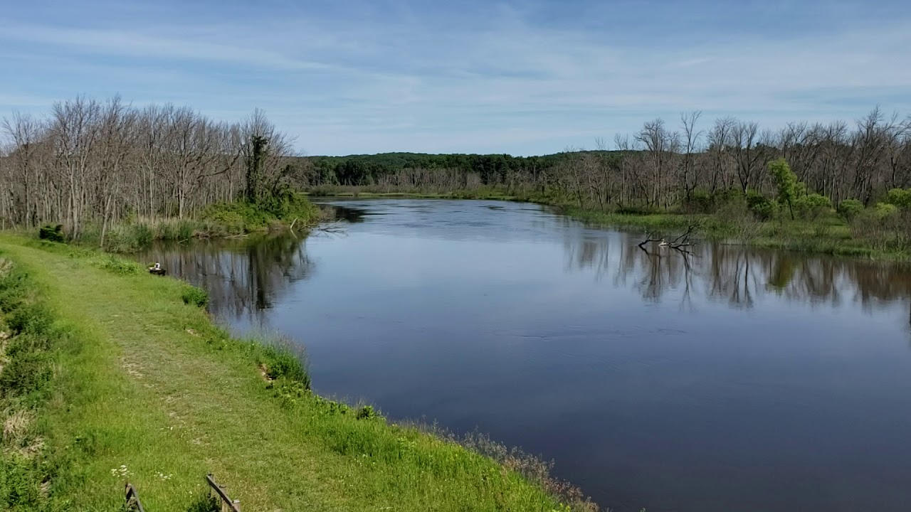 Manistee River Nature Area YouTube