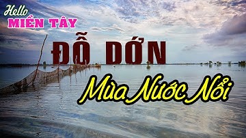 Hello Miền Tây | Đỗ Dớn Bắt Cá Mưu Sinh Mùa Nước Nổi Ở Miền Tây