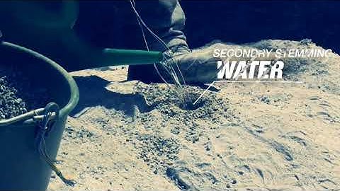 Royex Rock breaking System