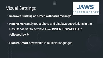 JAWS Customizable Settings (Language + Visual)