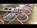 南昌西汉海昏侯墓墓主身份即将揭晓