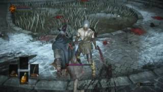 Dark Souls 3 - Non-Meta,- and Carthus Curved Greatness