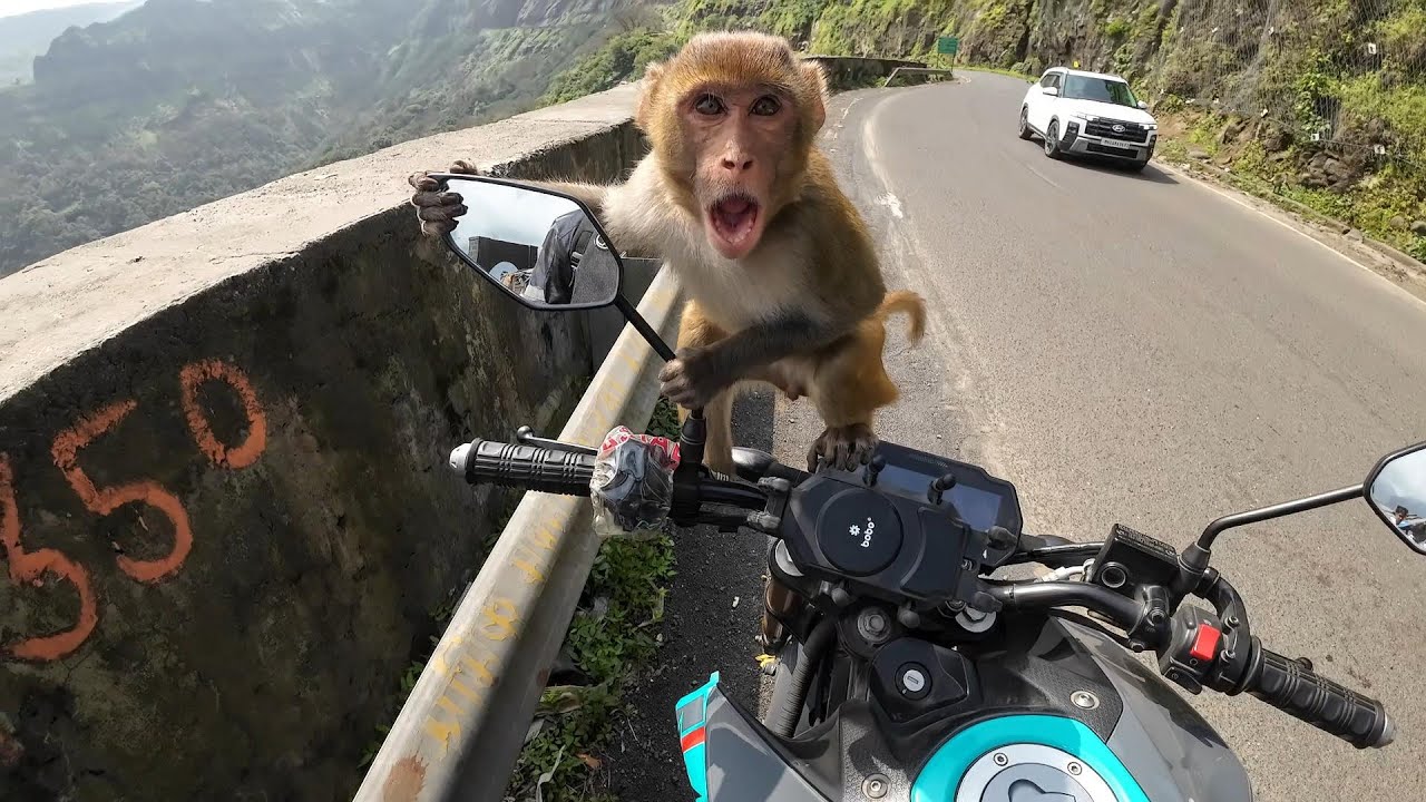 Mumbai To Malshej Ghat || Solo Ride ||