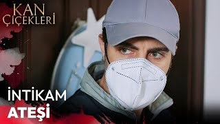 Düşman Pusuda - Kan Çiçekleri 319. Bölüm