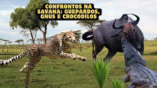 Confrontos na Savana: Guepardos, Gnus e Crocodilos