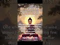 05.10.26 Schumann Resonance 