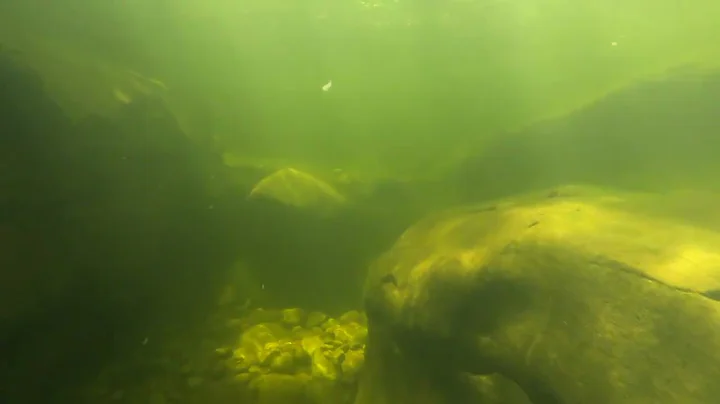 Swift River, Underwater