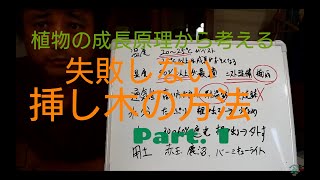 失敗しない【挿し木】植物の成長原理から考える　1回目　盆栽お手入れ講座