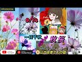 1794🟥『秋桜』山口百恵さんの曲(cover)/「一日千秋」コスモスの日に捧ぐ【HappyTimeにありがとぅん❣️】 from ポッドキャスト