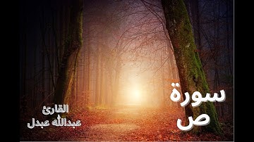 Abdullah Abdal Surah Sad Wonderful humbling read : سورة ص بصوت القارئ عبدالله عبدل قراءة جميلة