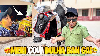 Meri Cow Dulha Ban Gai 😜 Humne Cow Ko Sajaya Kese ..??