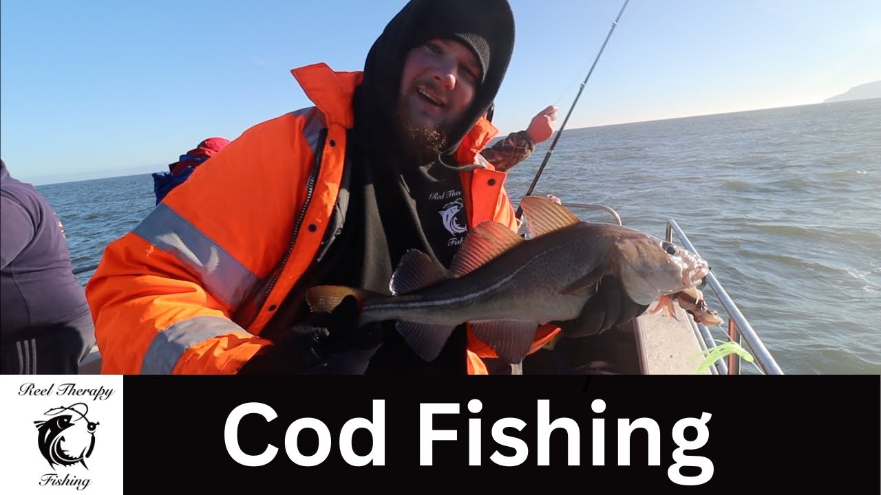 COD Fishing in Whitby Catching UNICORNS Winter Boat Fishing North