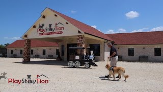 PlayStayTion Pet Resort & Training Video