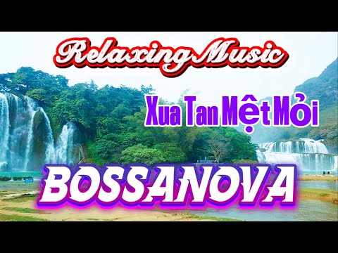 Những Khúc Tình Ca Không Lời Nhẹ Nhàng Sâu Lắng | Nhạc Bossa Nova Không Lời Hay Nhất | Organ Channel