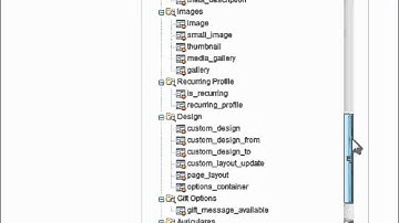 El conjunto de atributos