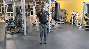 Dumbbell Supinated Curls (CORRECT FORM): myFit Personal Training