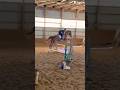 So excited for show tomorrow!!! #horse #rhys #foryou #ottb #equestrianjourney #riding #shorts