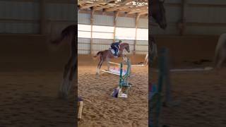 So excited for show tomorrow!!! #horse #rhys #foryou #ottb #equestrianjourney #riding #shorts